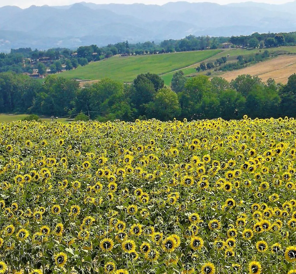 Appartement Borgo La Tabaccaia Del Mugello à Borgo San Lorenzo
